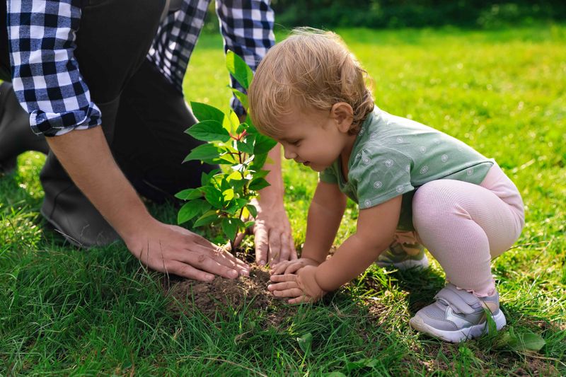 Planting a tree