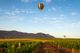 Hot air balloon vineyard