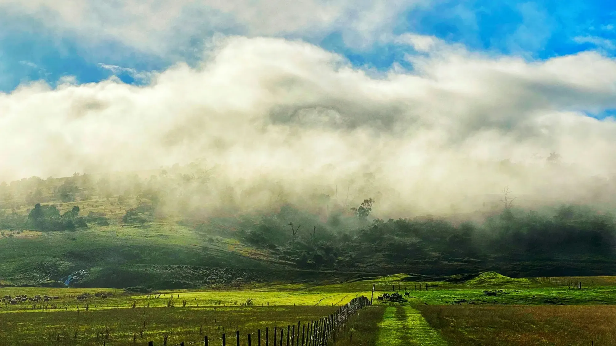 Hinterland