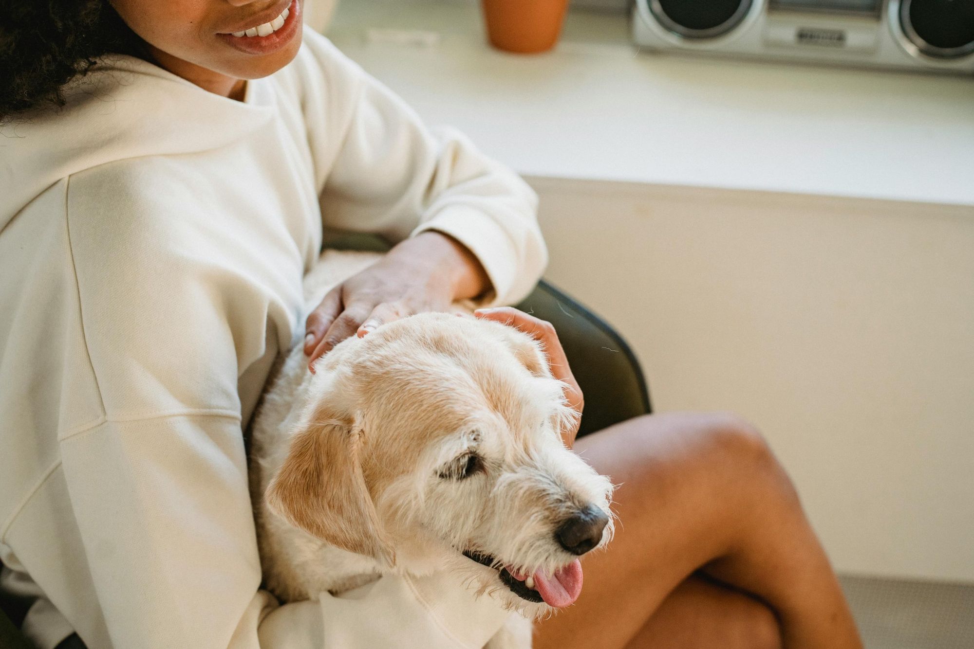 Dog-friendly